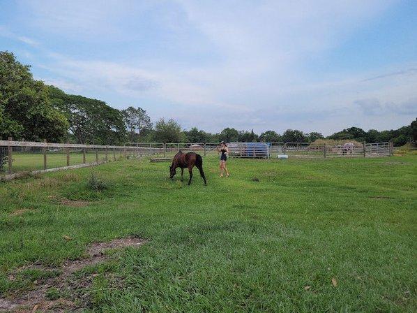 Double T Ranch