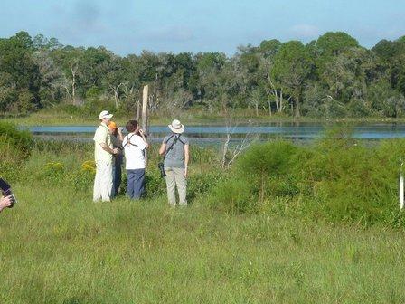 Florida Birding & Nature Festival