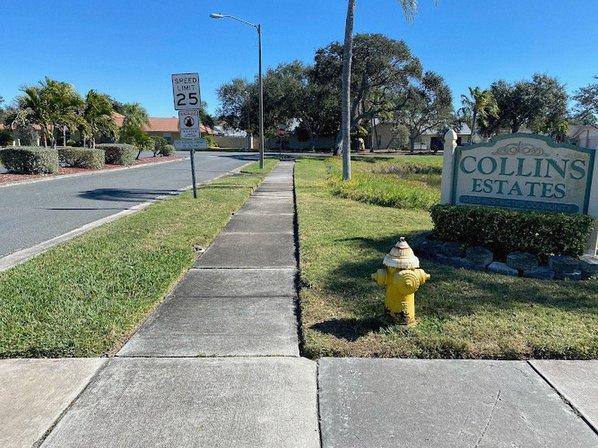 Lawns and Palms, Inc.
