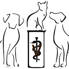 Animal Medical Center