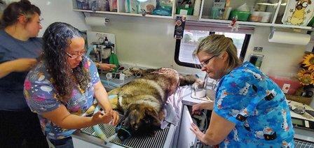 Noah's Mobile Vet Clinic