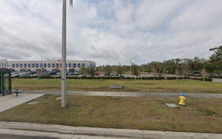 South County Amazon/Owl Academy