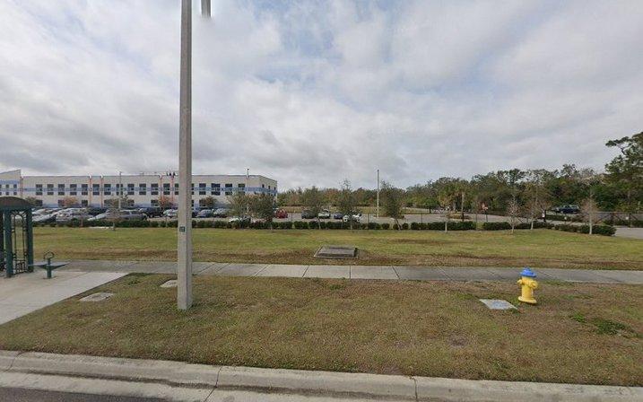 South County Amazon/Owl Academy