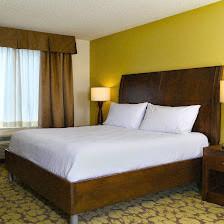 Hilton Garden Inn Tampa East/Brandon