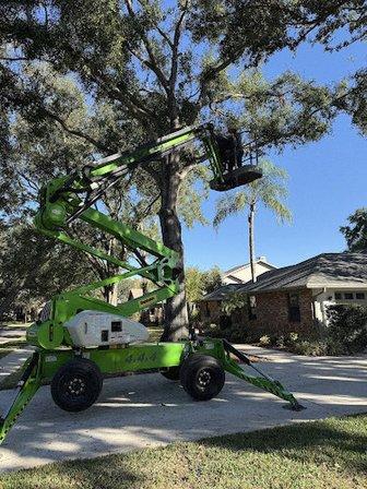 TNT TREE SERVICE LLC