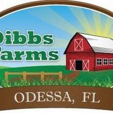 Dibbs Farms