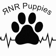 RNR Puppies, LLC