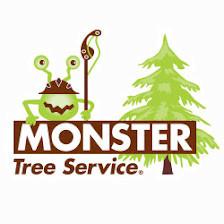 Monster Tree Service of North Tampa