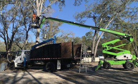 Canopy Crafters - Tree Care Experts