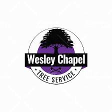 Wesley Chapel Tree Service