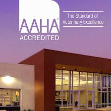 Animal Health Center at the Humane Society of Tampa Bay