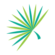 Palmetto Capital Group