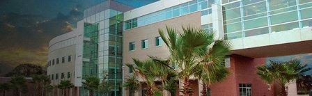 Department of Psychology