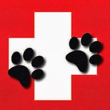 Urgent Pet Care of South Tampa