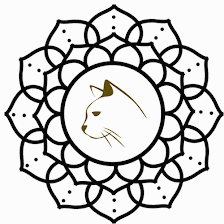 Mystic Whiskers Cat Care