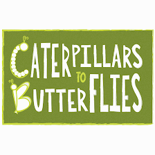 Caterpillars to Butterflies