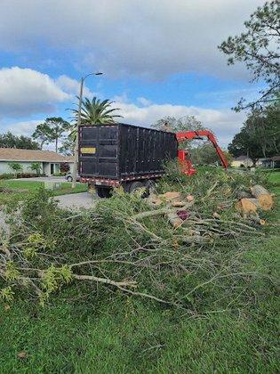 Wesley Chapel Tree Service