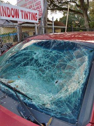Autoglass and Tint 813