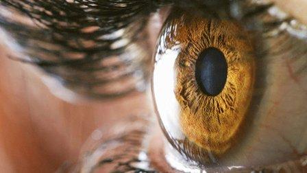 Walmart EYE EXAMS - Independent Eye Doctor, Dr. Hassinger