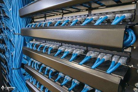 LightTree Business IT Support of Tampa Bay