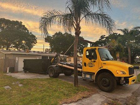 Bottom Dollar Dumpsters
