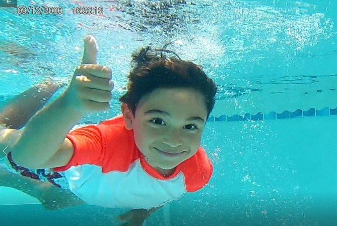 Little Shark Swim School | Survival Swim Lessons. | Private Swim Lessons | Riverview, Fishhawk, Apollo Beach, Valrico