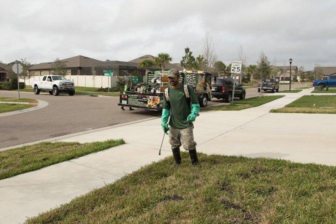 Bee Green Pest Control