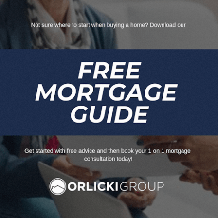 The Orlicki Group