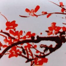 Plum Tree
