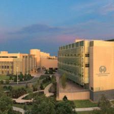 Marilyn M Bui, MD, PhD