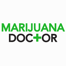 Marijuana Doctor North Tampa