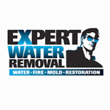 Expert Water Removal