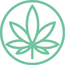 Cannabis Doc - Citrus Park Medical Marijuana Doctors & Marijuana Cards
