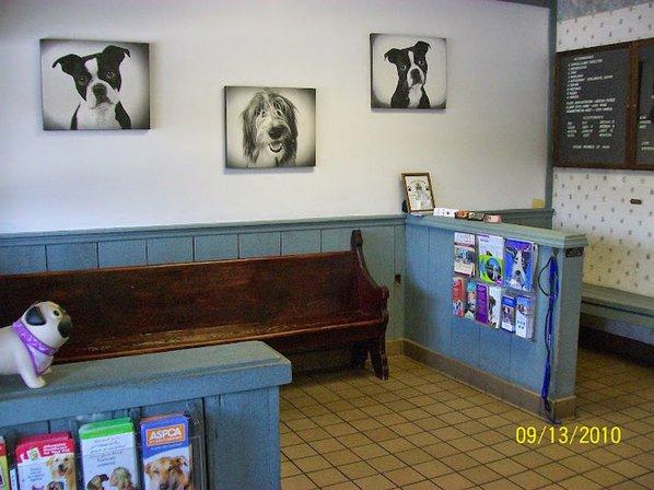 Urgent Pet Care of South Tampa