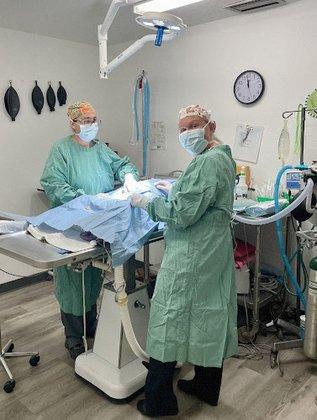 Skycrest Animal Hospital