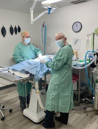 Skycrest Animal Hospital