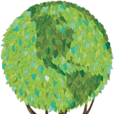 Tri-County Tree & Bobcat Services Inc.