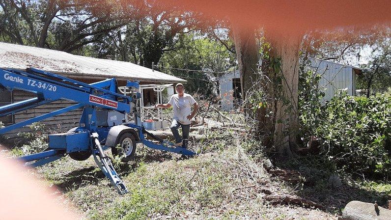David's Tree Service