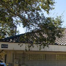 Florida Medical Clinic Orlando Health - Gastroenterology