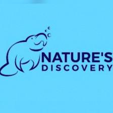 Nature's Discovery - Manatee Swim Tours