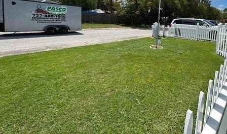 Pasco lawn care services