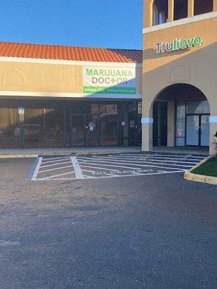 Marijuana Doctor North Tampa