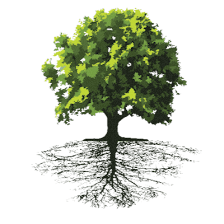 United Capital Funding