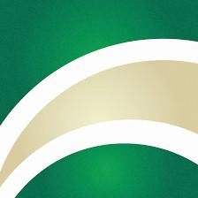USF Credit Union