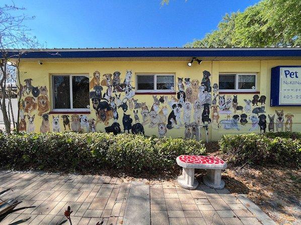 Pet Pal Animal Shelter