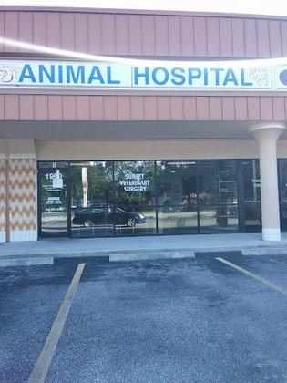 Sunset Veterinary Surgery