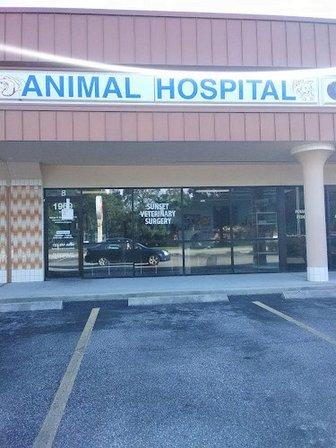 Sunset Veterinary Surgery