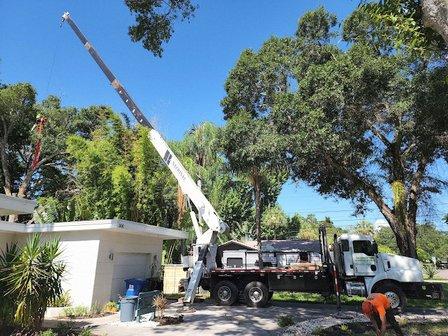 Tri-County Tree & Bobcat Services Inc.