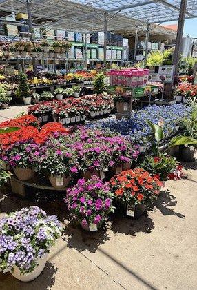 Garden Center at The Home Depot