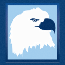 Federal Contracts Corp